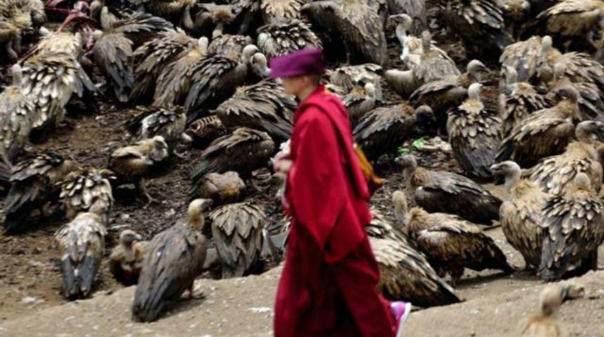 &Ouml;l&uuml;lerini akbabalara yediriyorlar