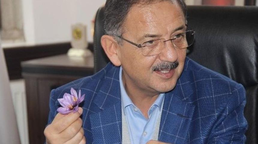 &Ccedil;evre Ve Şehircilik Bakanı Mehmet &Ouml;zhaseki: