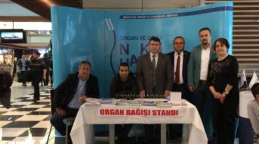 Diyaliz-organ Nakli Derneğinden Organ Bağış Standı