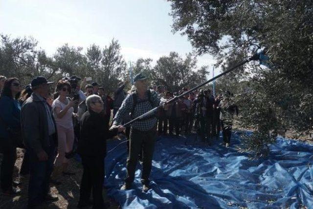 Karatay, Zeytinyağı Içirmek Için Söz Yazdı (2)