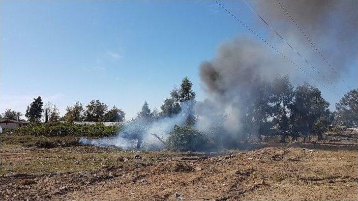 Çöplük Yangını Ucuz Atlatıldı G1