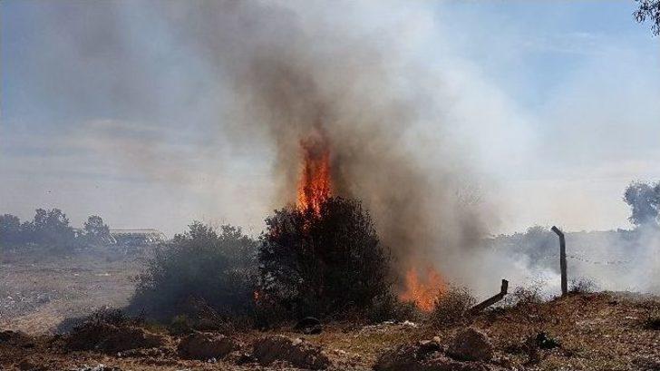 Çöplük Yangını Ucuz Atlatıldı G4