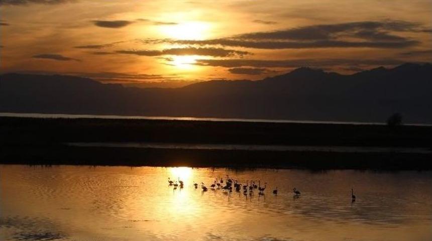 Beyşehir G&ouml;l&uuml;&rsquo;n&uuml;n Sonbahar Konukları G&ouml;&ccedil; Etti
