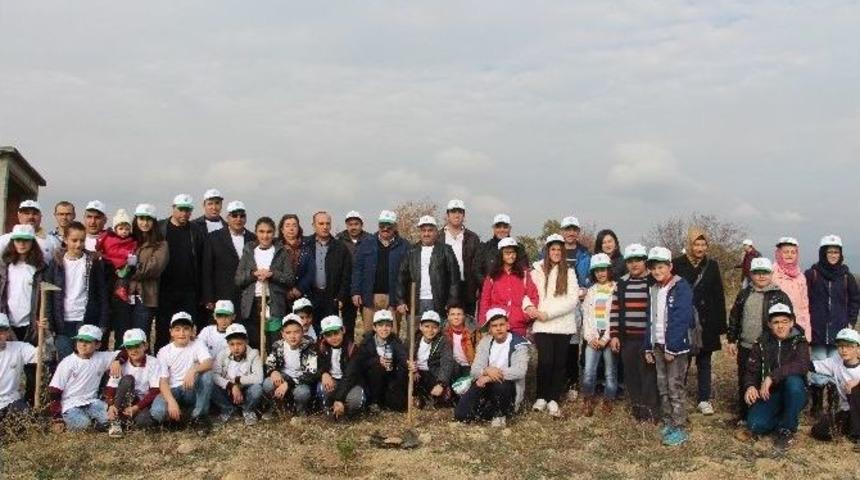 Vezirk&ouml;pr&uuml;&rsquo;de Fidan Dikme Etkinliği