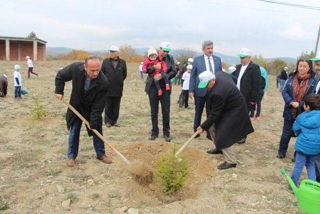 Vezirköprü’de Fidan Dikme Etkinliği