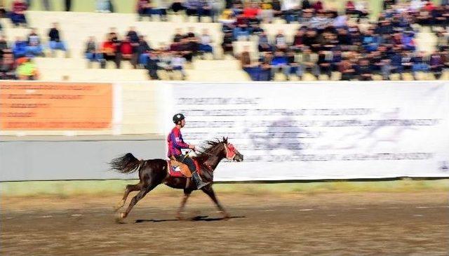 Erzurum’da Ciritte Süper Kupa Finali Nefes Kesti