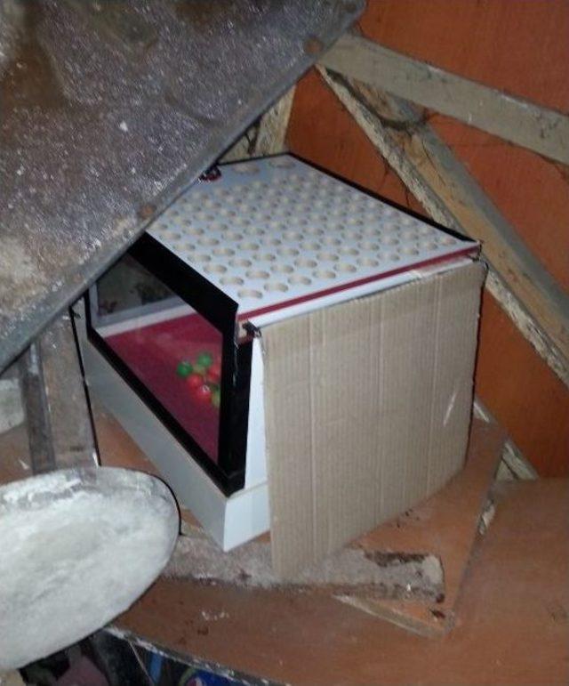 Adana&rsquo;da Bara Tombala Operasyonu 2