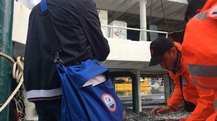 Yasal Boydan K&uuml;&ccedil;&uuml;k Balık Avlayan Teknelere Ceza Yağdı