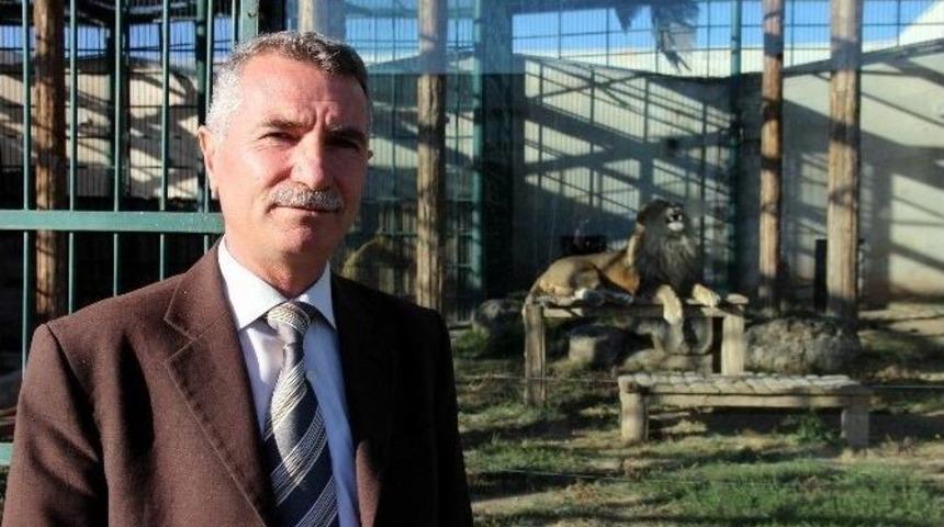 Anadolu Harikalar Diyarı Hayvanat Bah&ccedil;esi Kışa Hazır