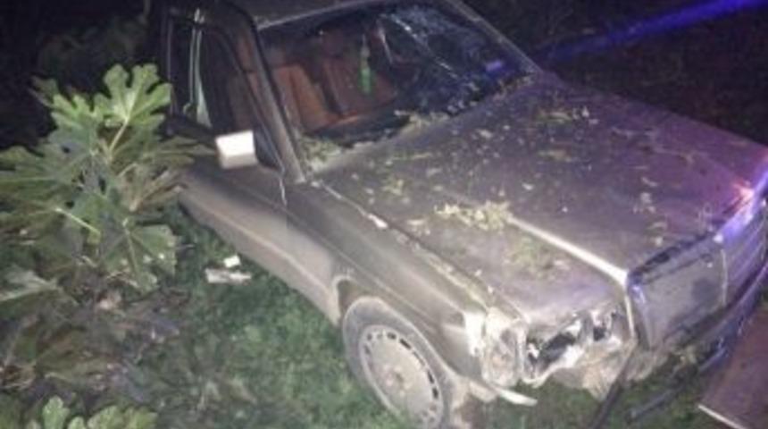 Otomobil Ağaca &Ccedil;arptı: 2 Yaralı