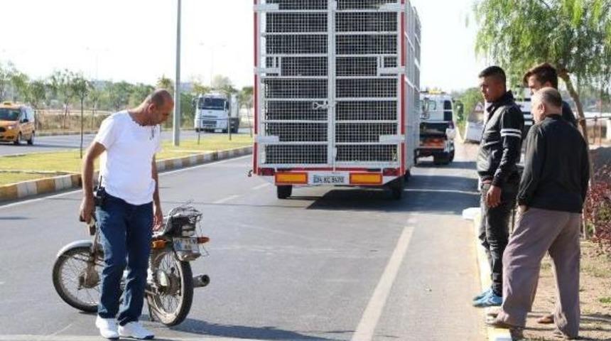 Sıkıştırılan S&uuml;r&uuml;c&uuml; Ref&uuml;je &Ccedil;arpıp &Ouml;ld&uuml;