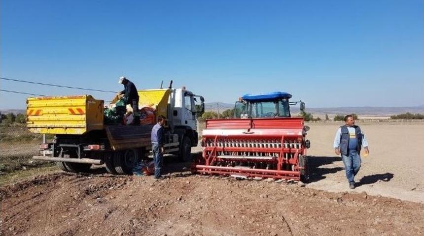 Fidan &Uuml;retim Merkezi &Ccedil;alışmaları Devam Ediyor