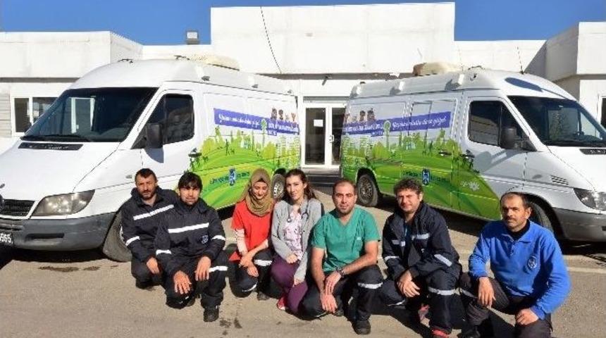 Yaralanan Sokak Hayvanlarının İmdadına B&uuml;y&uuml;kşehir Yetişiyor