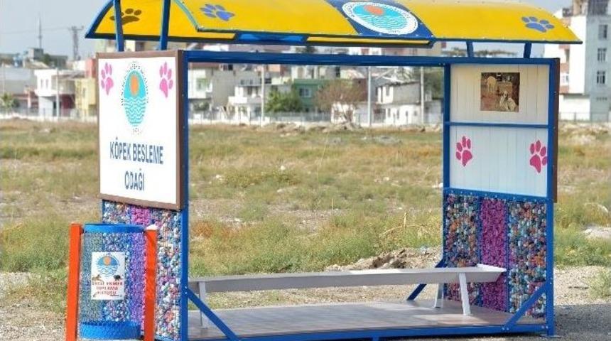 Mersin&rsquo;de Kedilerden Sonra K&ouml;peklere De Beslenme Odağı