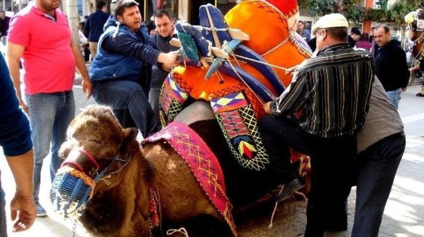 Sarıg&ouml;l&rsquo;de Develere T&ouml;renle Havut Giydirildi