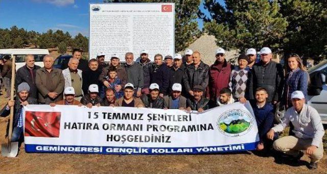 Suşehri'nde 15 Temmuz Şehitleri Için 5 Bin Fidan Dikildi