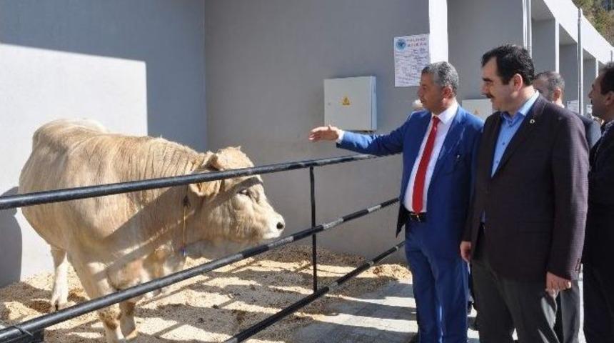 Erdem; &ldquo;t&uuml;rk Tarımı, D&uuml;nyada Artık K&uuml;resel Bir Akt&ouml;r&rdquo;