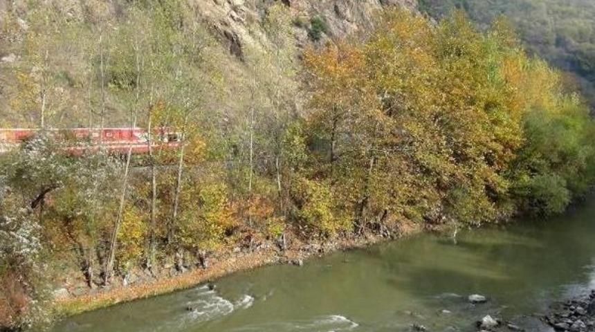 Raydan &Ccedil;ıkan Y&uuml;k Treninin Irmağa U&ccedil;masını Ağa&ccedil; &Ouml;nledi