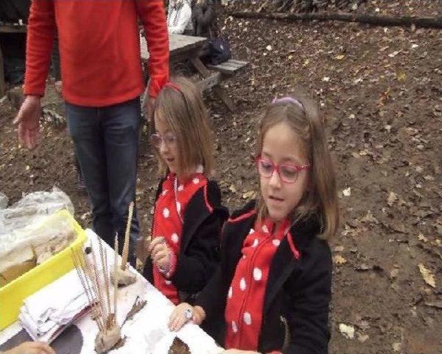 Şile de  orman Okulu  A&ccedil;ıldı 1