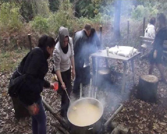 Şile de  orman Okulu  A&ccedil;ıldı 3