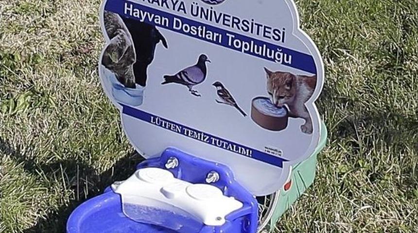 Trakya &Uuml;niversitesi&rsquo;nden Hayvanlara Duyarlı Yaklaşım