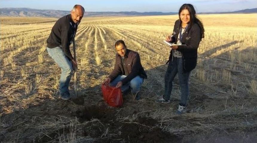 Ziraat M&uuml;hendisleri Sahaya İndi