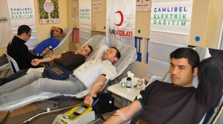 &Ccedil;edaş &Ccedil;alışanları Kan Bağışında Bulundu