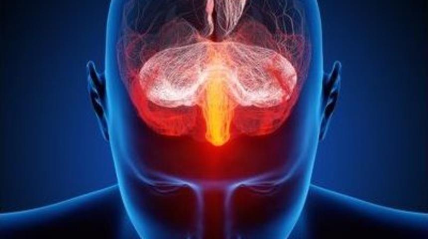 Sizi Bağımlı Eden; &ldquo;beyniniz&rdquo;