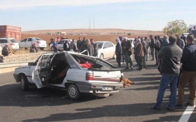 K&ouml;peği Ezmemek I&ccedil;in Direksiyon Kırdı, Annesi &Ouml;ld&uuml; Kendisi Yaralandı 3