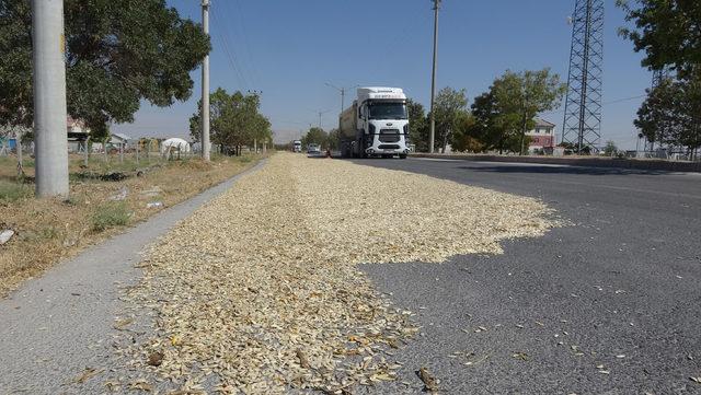 Yolun bir şeridini trafiğe kapatıp, kabak çekirdeği kurutuyorlar