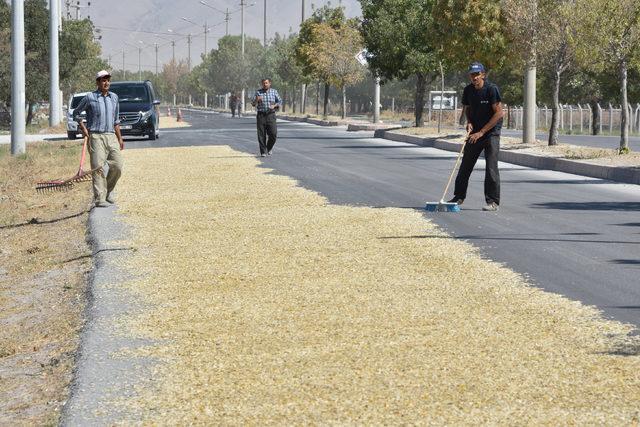 Yolun bir şeridini trafiğe kapatıp, kabak çekirdeği kurutuyorlar