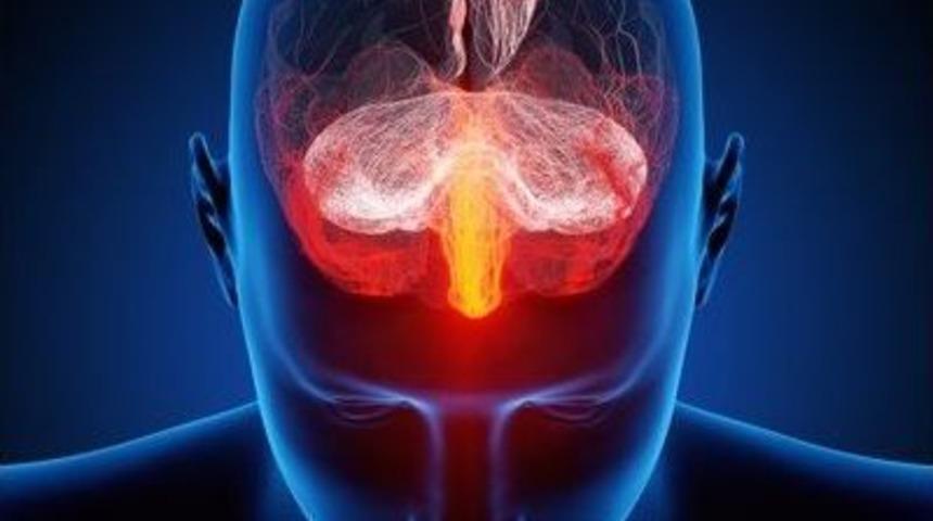 N&ouml;roloji Uzmanı Yavuz: "sizi Bağımlı Eden &rsquo;beyniniz&rsquo;"