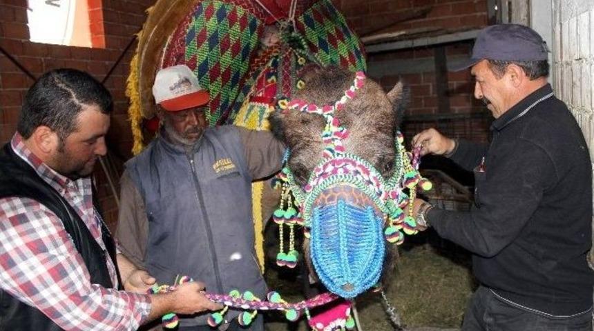 Develer G&uuml;reşlere Hazırlandı