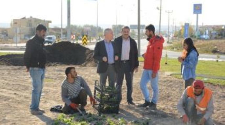 Başkan Acar Peyzaj Çalışmalarını Yerinde İnceledi