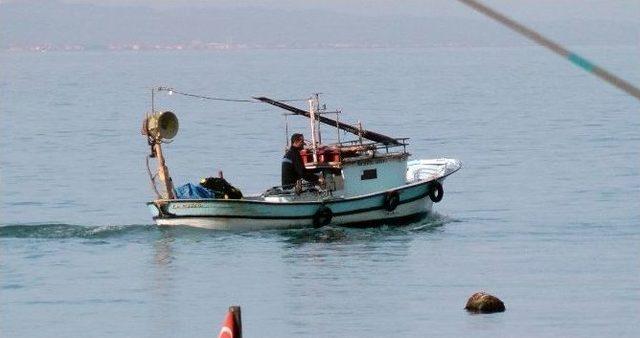 Karadeniz’den Asya Ülkelerine ’deniz Salganyozu’ İhraç Ediyorlar