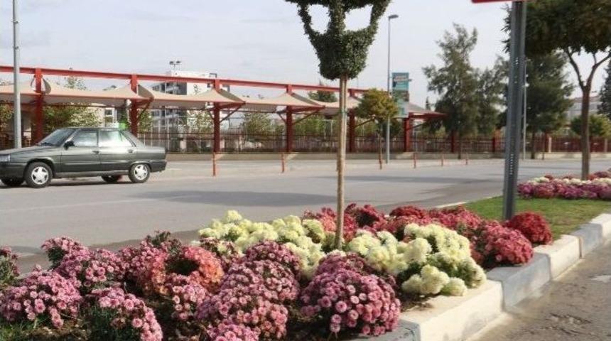 Manisa&rsquo;da Renk C&uuml;mb&uuml;ş&uuml;