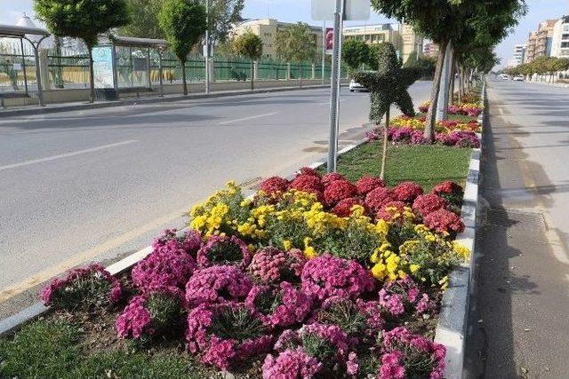 Manisa’da Renk Cümbüşü