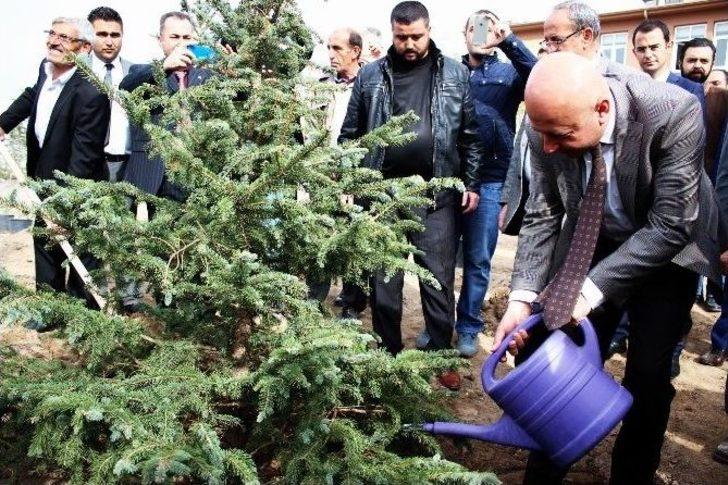 Kocasinan Belediyesi Beyazşehir Mahallesi’nde Bin 250 Adet Fidanı Toprakla Buluşturdu G4