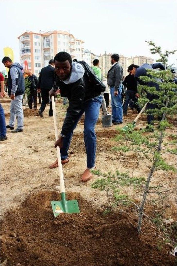 Kocasinan Belediyesi Beyazşehir Mahallesi’nde Bin 250 Adet Fidanı Toprakla Buluşturdu G5
