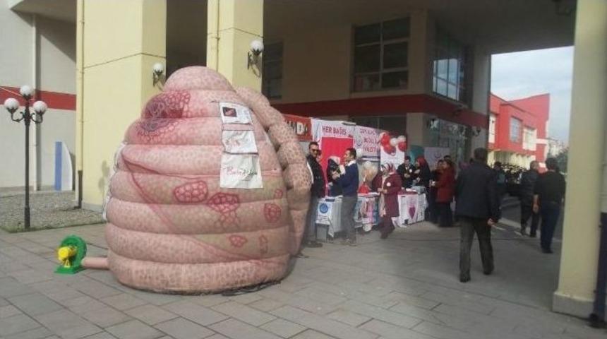 Koca Ciğer D&uuml;zce&rsquo;de