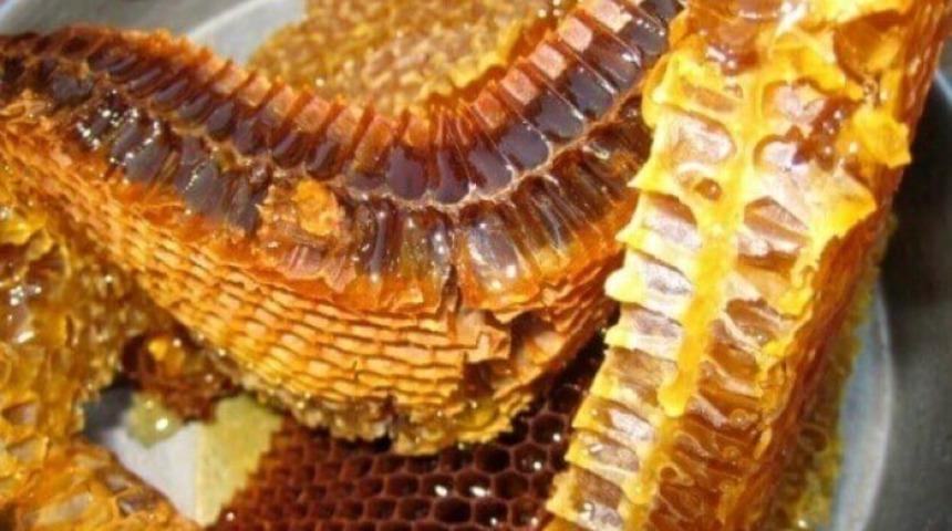 Altın gibi kıymetli! Birçok hastalığı tedavi eden doğanın şifalısı