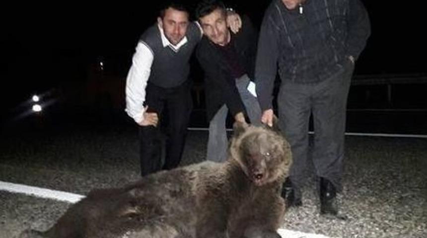 Telef Ettikleri Ayı İle Fotoğraf &Ccedil;ekildiler