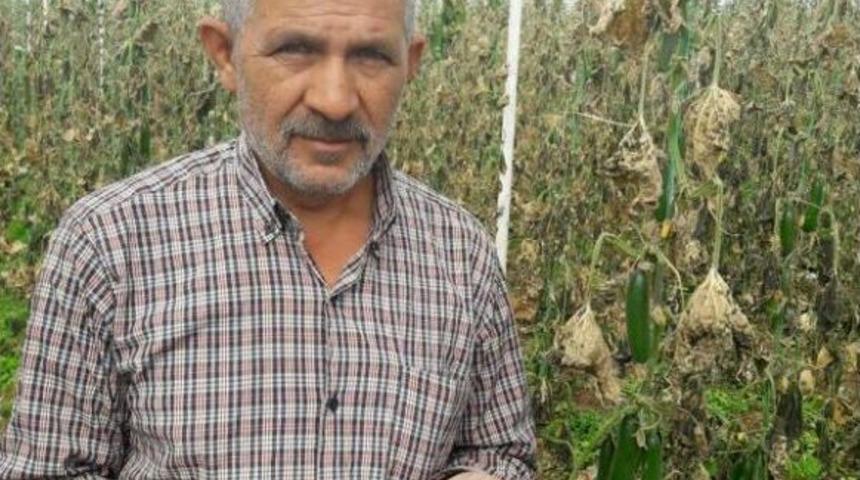 Yalva&ccedil;'ta Seraları Don Vurdu