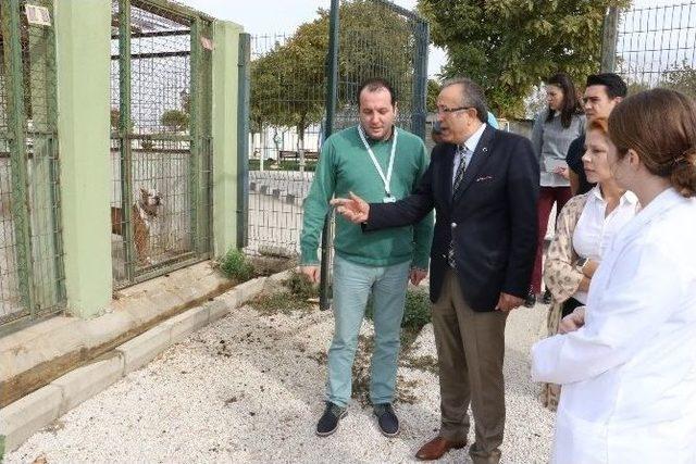 Genç’ten Hayvan Bakım Ve Tedavi Merkezi’ne Ziyaret