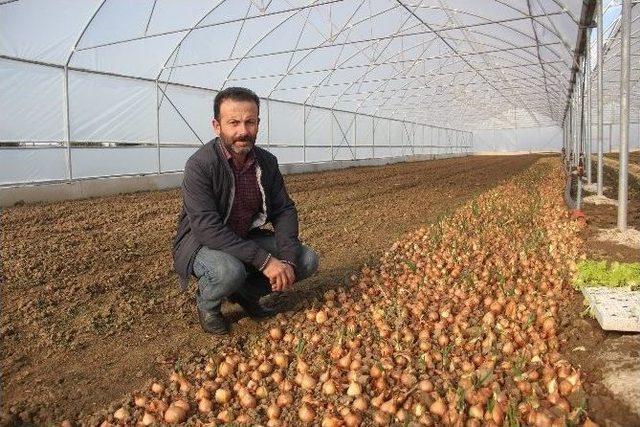 Sera Kuran Genç Çiftçiler Kışlık Sebze Üretimine Başladı