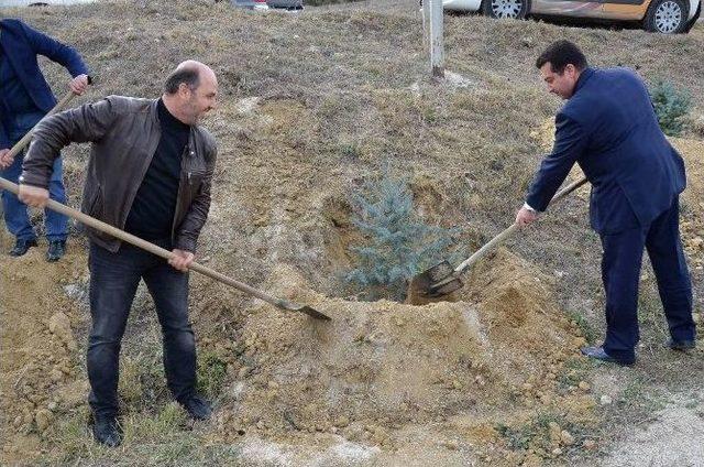 Meclis Üyeleri Fidan Dikiminde Bir Araya Geldi