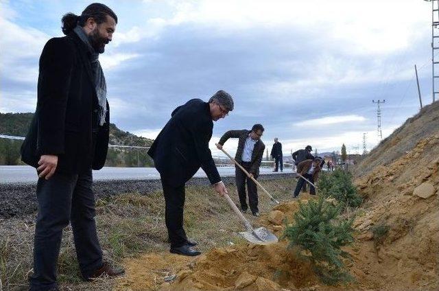 Meclis Üyeleri Fidan Dikiminde Bir Araya Geldi