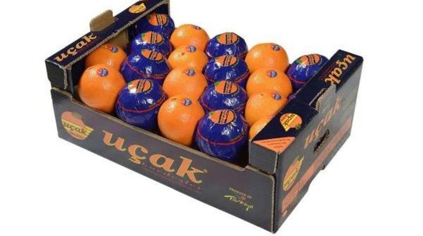 'u&ccedil;ak'lı Narenciye Rusya'ya Girdi