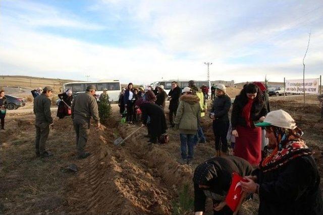 Gönül Elçilerinden 15 Temmuz Şehitleri’ne Hatıra Ormanı