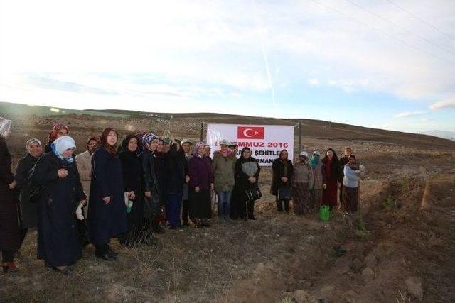 Gönül Elçilerinden 15 Temmuz Şehitleri’ne Hatıra Ormanı